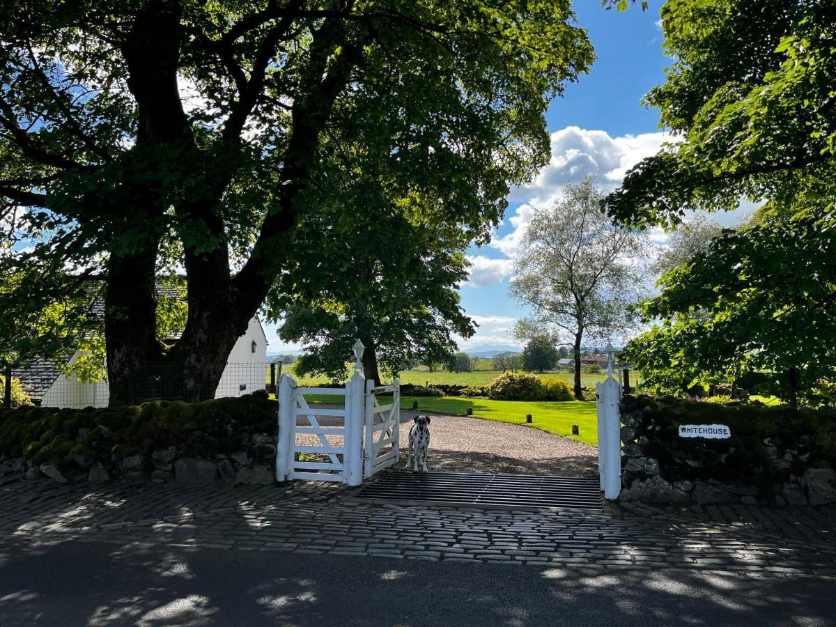 Whitehouse Bed & Breakfast Uplawmoor Dış mekan fotoğraf